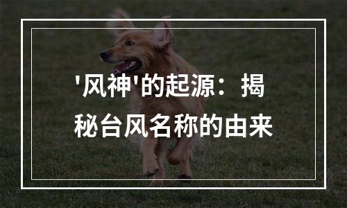 '风神'的起源：揭秘台风名称的由来