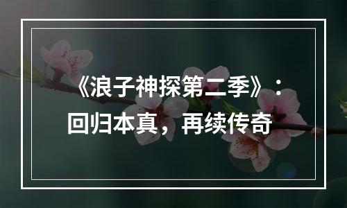 《浪子神探第二季》：回归本真，再续传奇