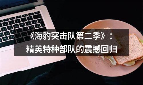《海豹突击队第二季》：精英特种部队的震撼回归