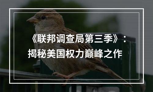 《联邦调查局第三季》：揭秘美国权力巅峰之作