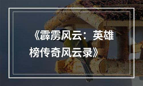 《霹雳风云：英雄榜传奇风云录》