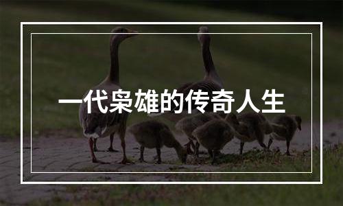 一代枭雄的传奇人生