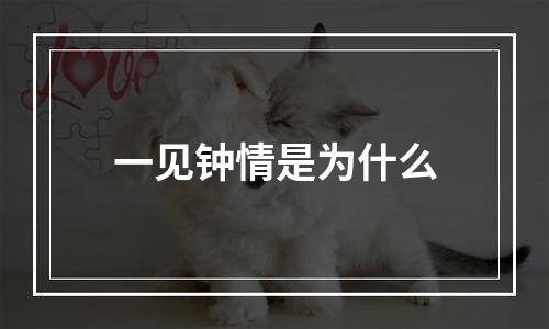 一见钟情是为什么
