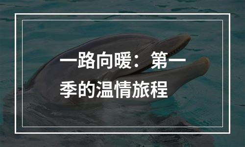 一路向暖：第一季的温情旅程