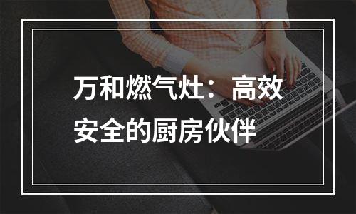 万和燃气灶：高效安全的厨房伙伴