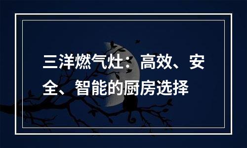 三洋燃气灶：高效、安全、智能的厨房选择