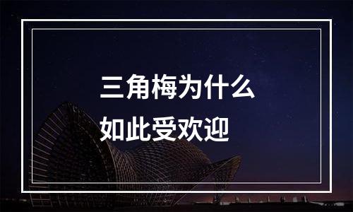 三角梅为什么如此受欢迎