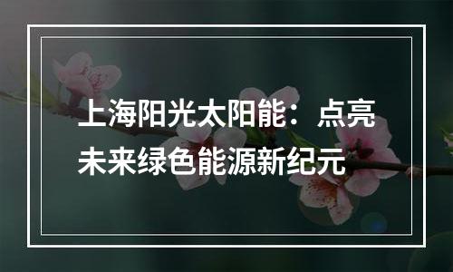 上海阳光太阳能：点亮未来绿色能源新纪元