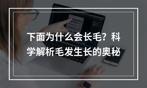 下面为什么会长毛？科学解析毛发生长的奥秘