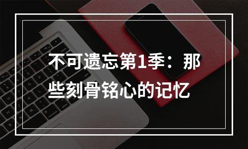 不可遗忘第1季：那些刻骨铭心的记忆