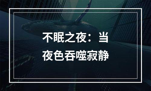 不眠之夜：当夜色吞噬寂静