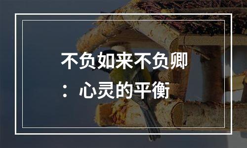 不负如来不负卿：心灵的平衡