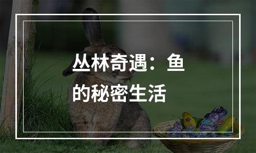 丛林奇遇：鱼的秘密生活