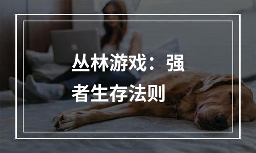 丛林游戏：强者生存法则