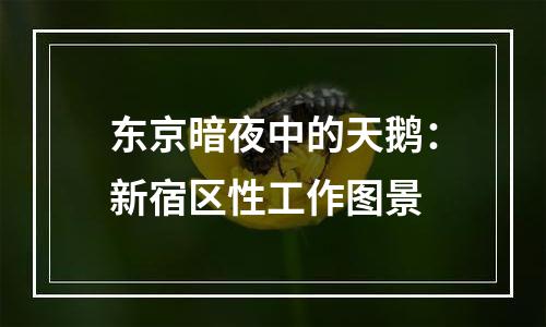 东京暗夜中的天鹅：新宿区性工作图景