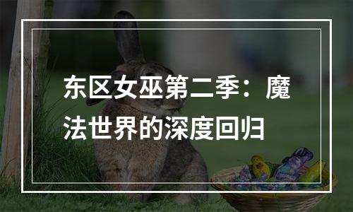 东区女巫第二季：魔法世界的深度回归