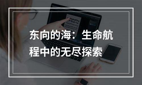 东向的海：生命航程中的无尽探索
