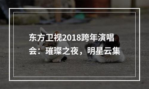 东方卫视2018跨年演唱会：璀璨之夜，明星云集