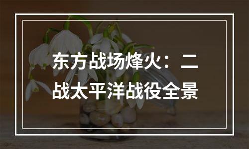 东方战场烽火：二战太平洋战役全景