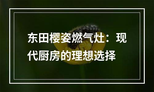东田樱姿燃气灶：现代厨房的理想选择