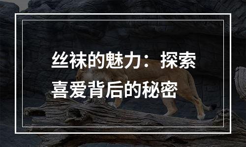 丝袜的魅力：探索喜爱背后的秘密