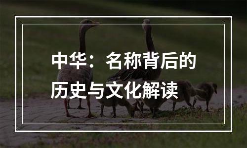 中华：名称背后的历史与文化解读