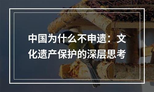 中国为什么不申遗：文化遗产保护的深层思考