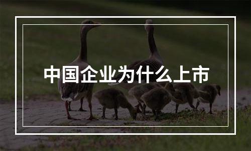 中国企业为什么上市