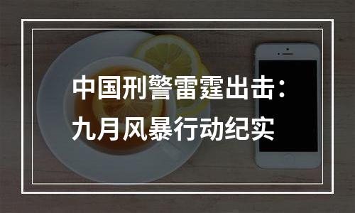 中国刑警雷霆出击：九月风暴行动纪实