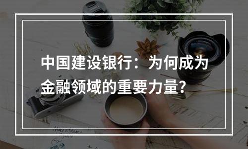 中国建设银行：为何成为金融领域的重要力量？