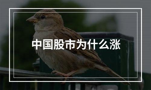 中国股市为什么涨