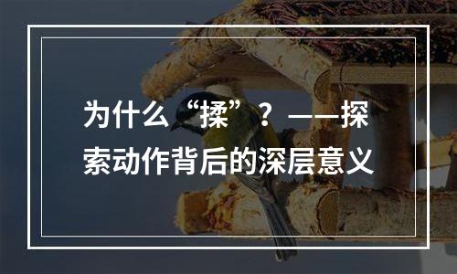 为什么“揉”？——探索动作背后的深层意义