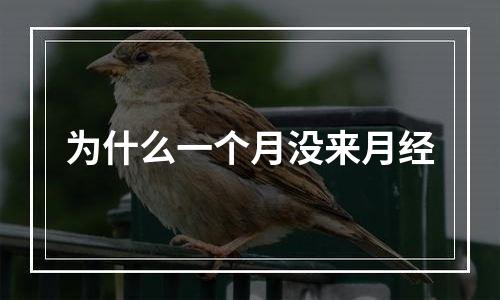 为什么一个月没来月经