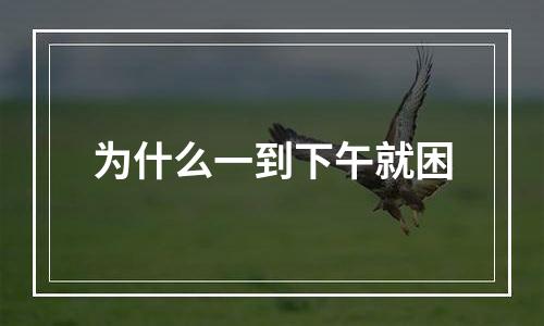 为什么一到下午就困