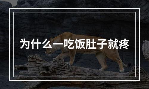 为什么一吃饭肚子就疼