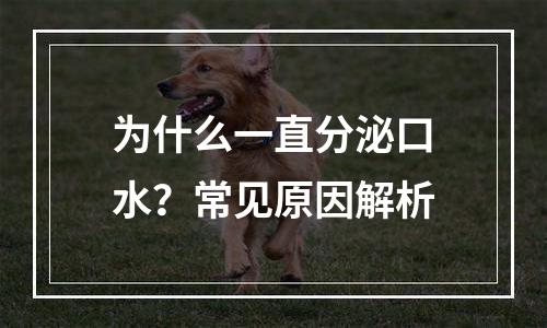 为什么一直分泌口水？常见原因解析