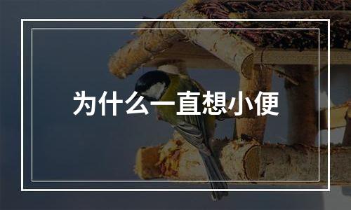 为什么一直想小便