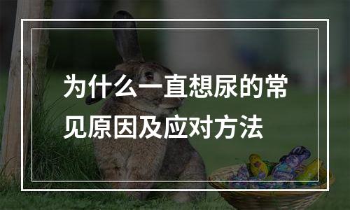 为什么一直想尿的常见原因及应对方法