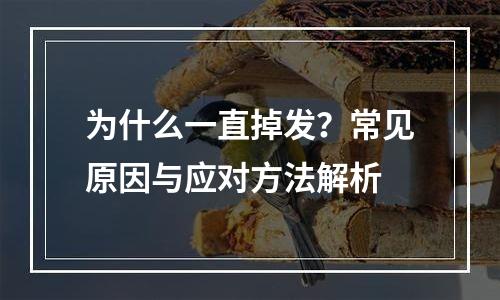 为什么一直掉发？常见原因与应对方法解析