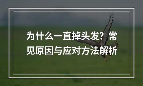 为什么一直掉头发？常见原因与应对方法解析