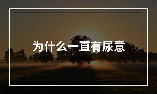 为什么一直有尿意