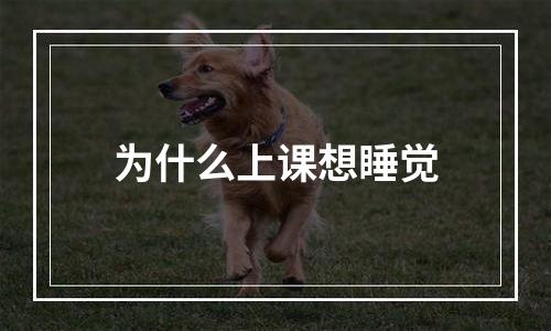 为什么上课想睡觉