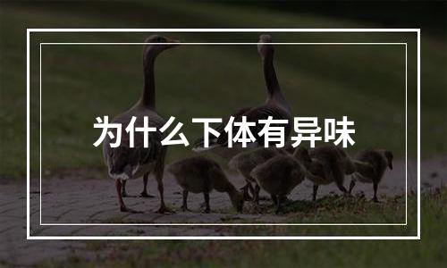 为什么下体有异味
