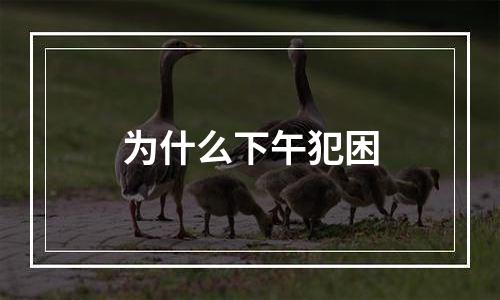 为什么下午犯困