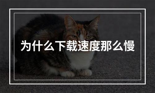 为什么下载速度那么慢