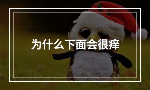 为什么下面会很痒