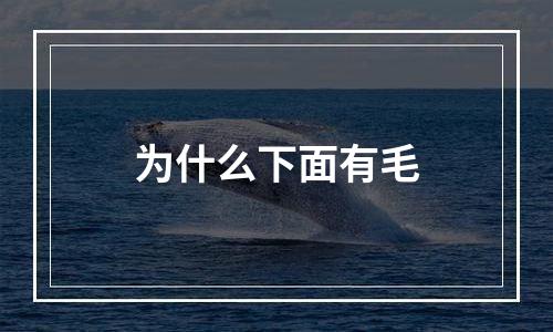 为什么下面有毛