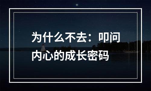 为什么不去：叩问内心的成长密码