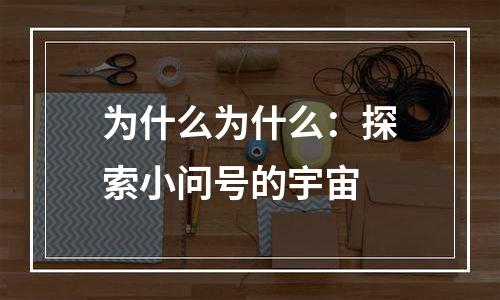 为什么为什么：探索小问号的宇宙