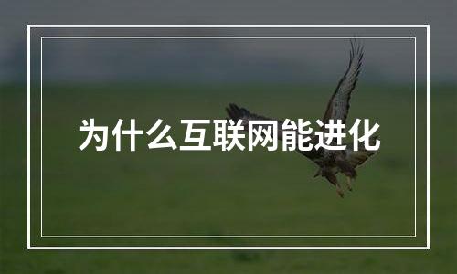 为什么互联网能进化